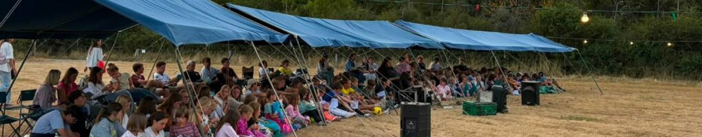 Scouts Velm
